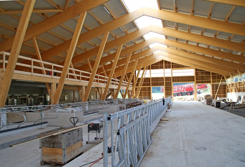 Material Picks that Last